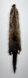 Beautiful Wild Fisher Fur Pelt Taxidermy