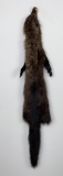 Beautiful Wild Fisher Fur Pelt Taxidermy-