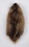 Montana Muskrat Taxidermy Fur Pelt Hide