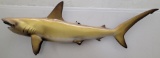 Hammerhead Shark Taxidermy Wall Mount