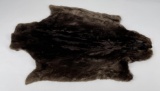 Beautiful Sheared Beaver Fur Pelt Taxidermy