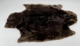 Beautiful Sheared Beaver Fur Pelt Taxidermy