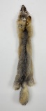 Beautiful Kit Fox Fur Pelt Taxidermy