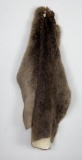 Montana Beaver Fur Pelt Taxidermy