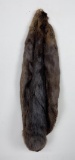 Montana Beaver Fur Pelt Taxidermy #12