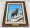 Padre Johnson Montana Bighorn Sheep Painting