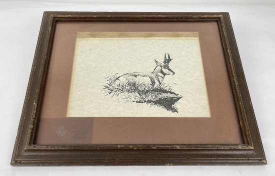 Elmer Sprunger Montana Antelope Drawing