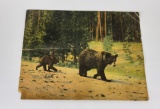 Haynes Giant Post Card Yellowstone Park