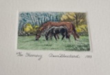 Dawn Blanchard Engraving Horses