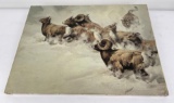 Guy Coheleach Print on Canvas Big Horn Sheep