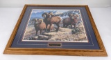 Cynthie Fisher Bighorn Sheep Signed Numbered Print