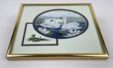 Montana Swans Watercolor Painting