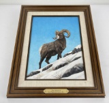 Padre Johnson Montana Bighorn Sheep Painting