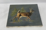 Montana Whitetail Deer Oil on Canvas Painting