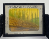 Lolo Montana National Forest Magic Lantern Slide