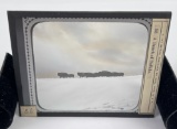 Yellowstone Park Buffalo Magic Lantern Slide