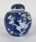 Antique Chinese Blue White Ginger Jar Porcelain