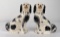 Pair of Staffordshire Pottery Dogs