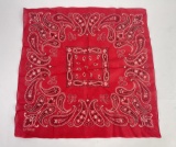 Deadstock Trunk Up Fast Color Cowboy Bandana