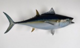 Yellowfin Tuna Taxidermy Mount