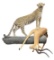 African Leopard and Impala Taxidermy Mount