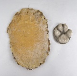 Montana Grizzly Bear Mountain Lion Track Castings