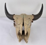 Antique Montana Indian Painted Buffalo Skull