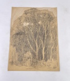 Frederick Kress Drawing Study California