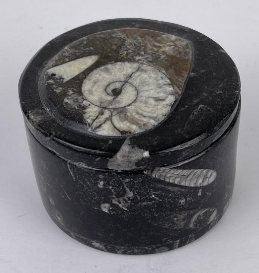 Moroccan Ammonite Fossil Stone Box