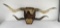 Antique Montana Steer Horns on Plaque