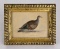 William Lizars Edward Lear Pigeon Engraving