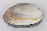 Sea Shell Trinket Box made in Bali