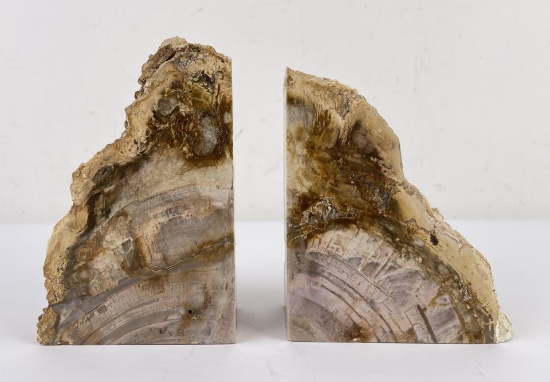 Petrified Wood Stone Bookends