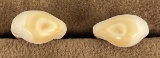 Pair of Montana Bull Elk Teeth