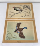 Uchida Japanese Wood Block Prints