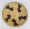 Papago Native American Indian Basket