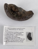 South Carolina Whale Ear Bone Fossil