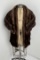 Collection of Mink Fur Stoles