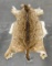 Taxidermy Axis Deer Hide