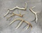 Group of Montana Bull Elk Horns Sheds