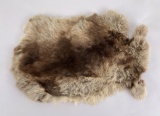 Taxidermy Rabbit Fur Pelt