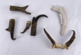 Group of Antelope Horns Taxidermy Crafts