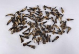 Lot of 100 Fossilized Buffalo Teeth