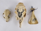 Collection of Decorated Animal Skulls