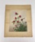 Emily Maria Spaford Scott Thistle Watercolor