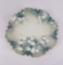 Antique RS Prussia Porcelain Plate