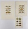 Mrs Beeton's Every Day Cookery Prints