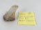 Arkansas Clear Quartz Crystal Cluster