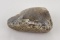 Montana Yellowstone Agate