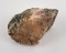 Porphyritic Granite